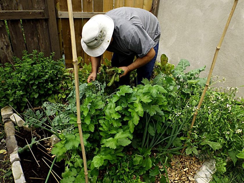 Philippe Juillet 2015